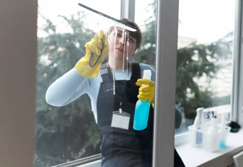 Nettoyage de vitres intérieures et extérieures à Soulaires